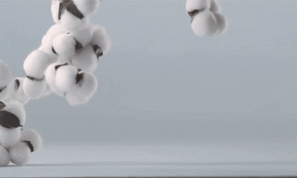 1694163587294388.gif