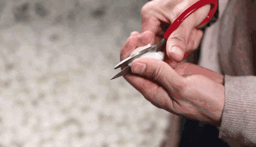 1695278934189479.gif