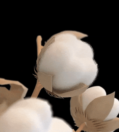 1697524704890241.gif