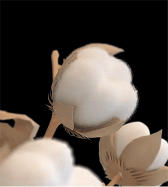 1698043841140089.gif