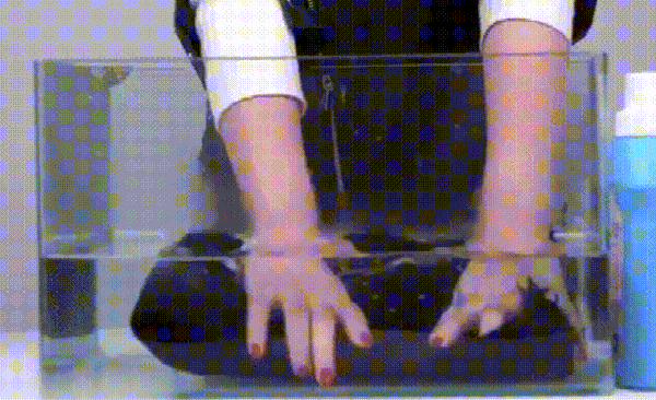 1700800277565569.gif