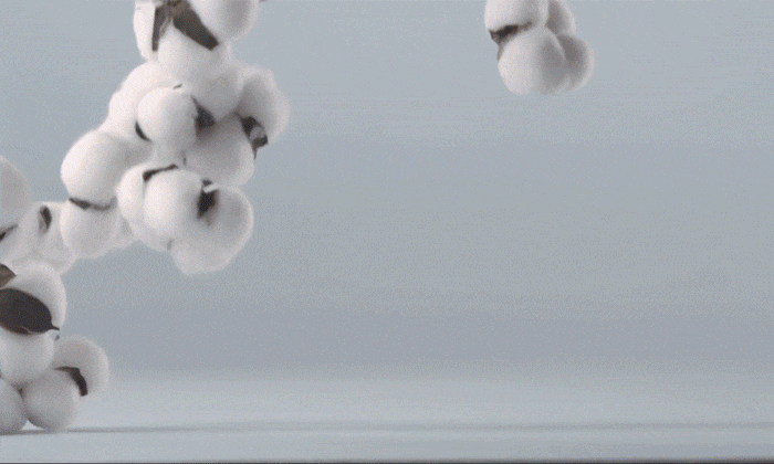 1701498824157241.gif